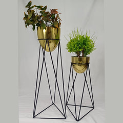 Set amazonia con Huevos de Aluminio