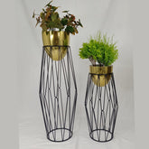 Set Coral con Huevos de Aluminio