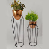 Set Zircon con Huevos de Aluminio