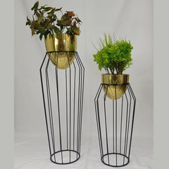 Set Zircon con Huevos de Aluminio