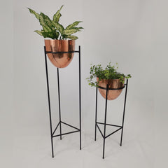 Set Silex con Huevos de Aluminio