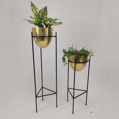 Set Silex con Huevos de Aluminio