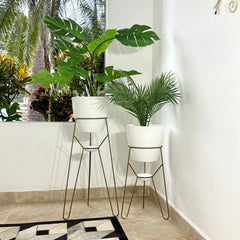 Set Ambar con Materos Plastico 28