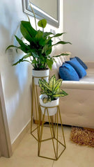 Set Agata con Materos plasticos