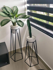 Set Agata con Materos plasticos