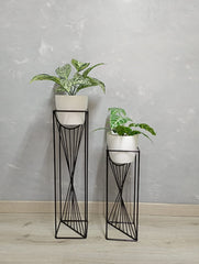 Set Dinastia con Materos Plasticos