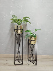 Set Dinastia con Materos Plasticos