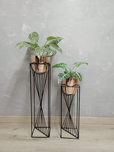 Set Dinastia con Materos Plasticos