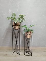 Set Dinastia con Materos Plasticos