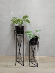 Set Dinastia con Materos Plasticos