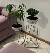 Set amazonia con Media Esferas de Aluminio