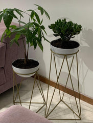 Set amazonia con Media Esferas de Aluminio