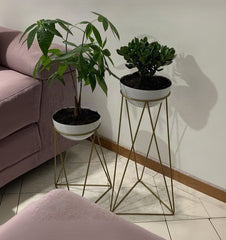 Set amazonia con Media Esferas de Aluminio
