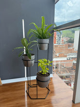 Padreperla con Materos Plasticos