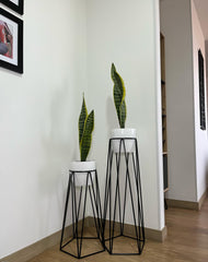 Set Agata con Materos plasticos