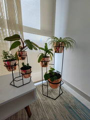 Combo Padreperla con Materos Metalizados