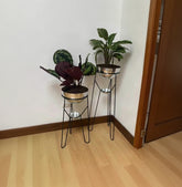 Set Ambar con Media Esferas y Platos Recogedores