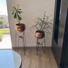 Set Ambar con Esferas de Aluminio