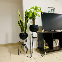 Set Ambar con Esferas de Aluminio