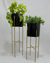 Set Turquesa Dorado con Cilindros de Plastico