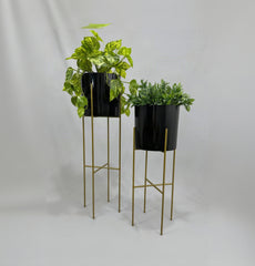 Set Turquesa Dorado con Cilindros de Plastico