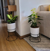 Soportes Ross con Cilindro de Plastico