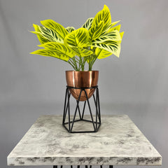 Mini agata con Huevo de aluminio