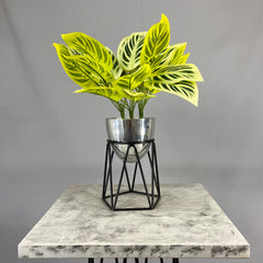 Mini agata con Huevo de aluminio