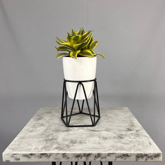 Mini Agata con Matero Orquidea