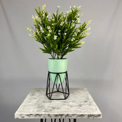 Mini Agata con Matero Orquidea