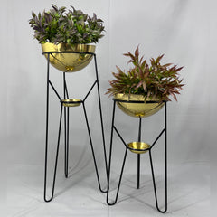 Set Ambar con Media Esferas y Platos Recogedores