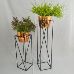 Set Tanzanita con Materos Plasticos