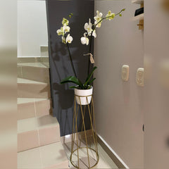 Cuarzo Con Matero Plastico