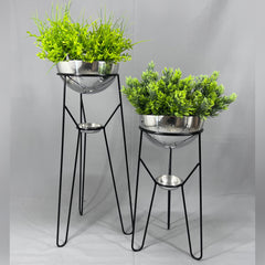 Set Ambar con Media Esferas y Platos Recogedores