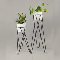 Set Cornalina con Materos Plasticos