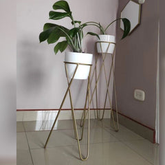 Set Cornalina con Materos Plasticos