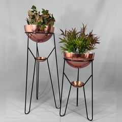 Set Ambar con Media Esferas y Platos Recogedores