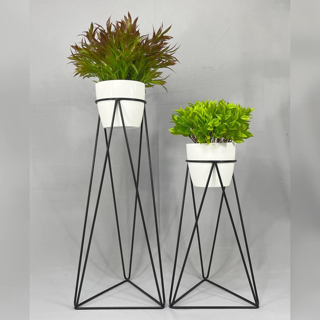 Set Amazonia con materos plasticos