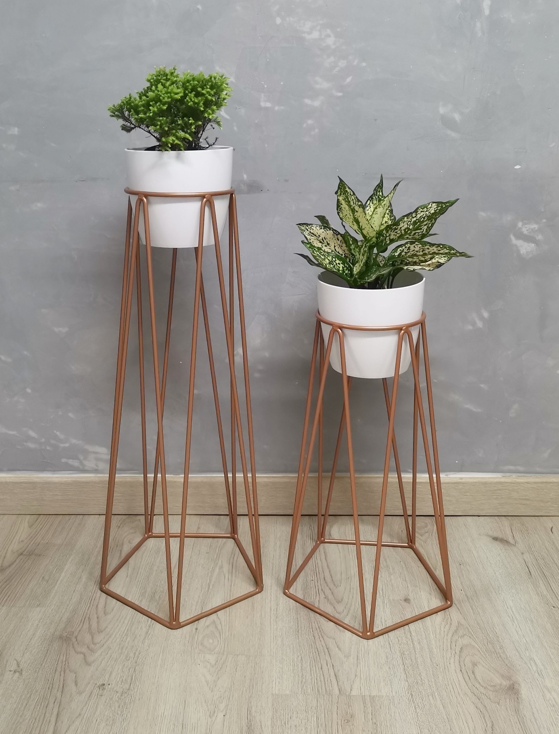 Set Agata con Materos plasticos