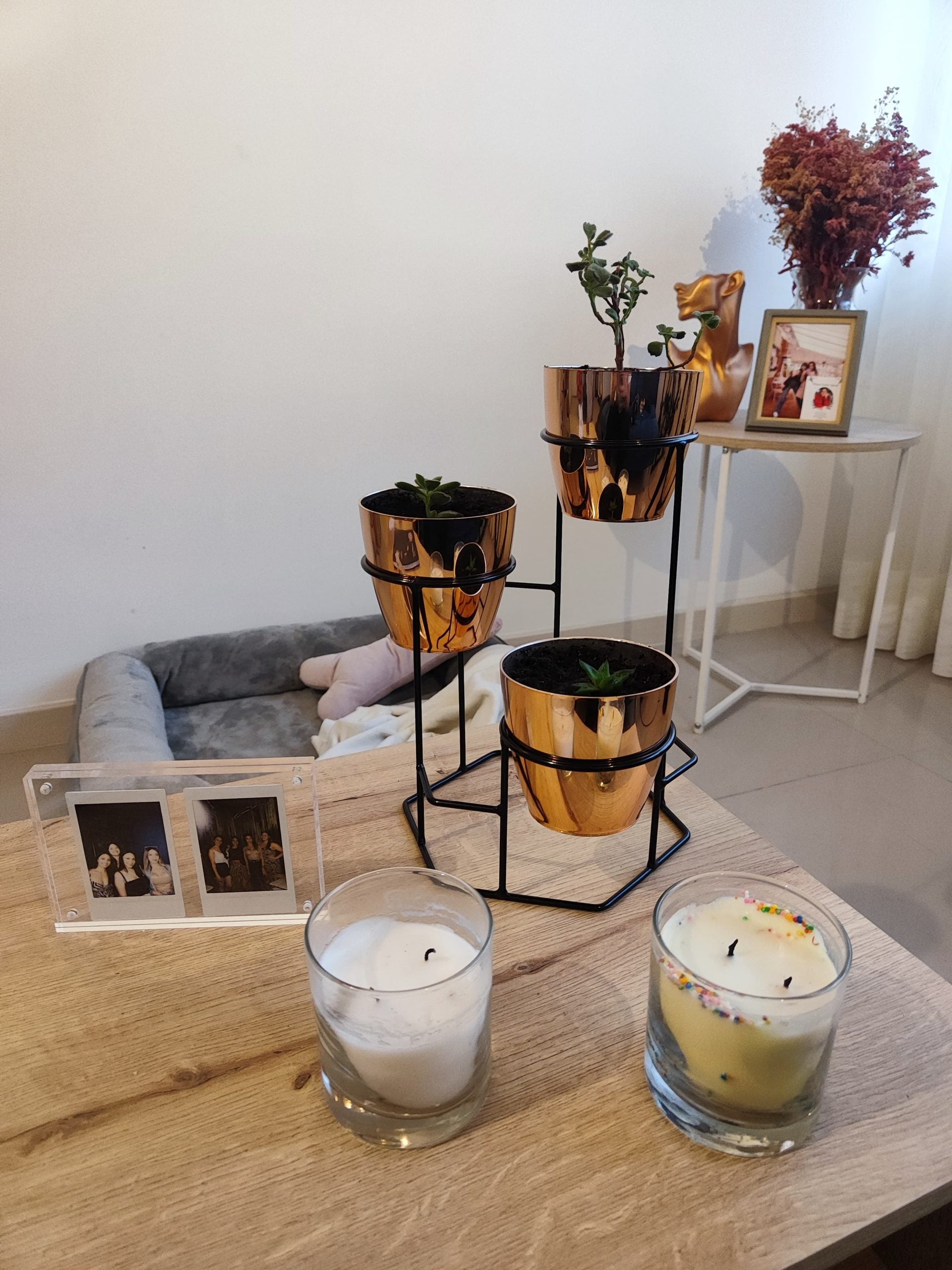 Mini Padreperla con Mini Materos Metalizados