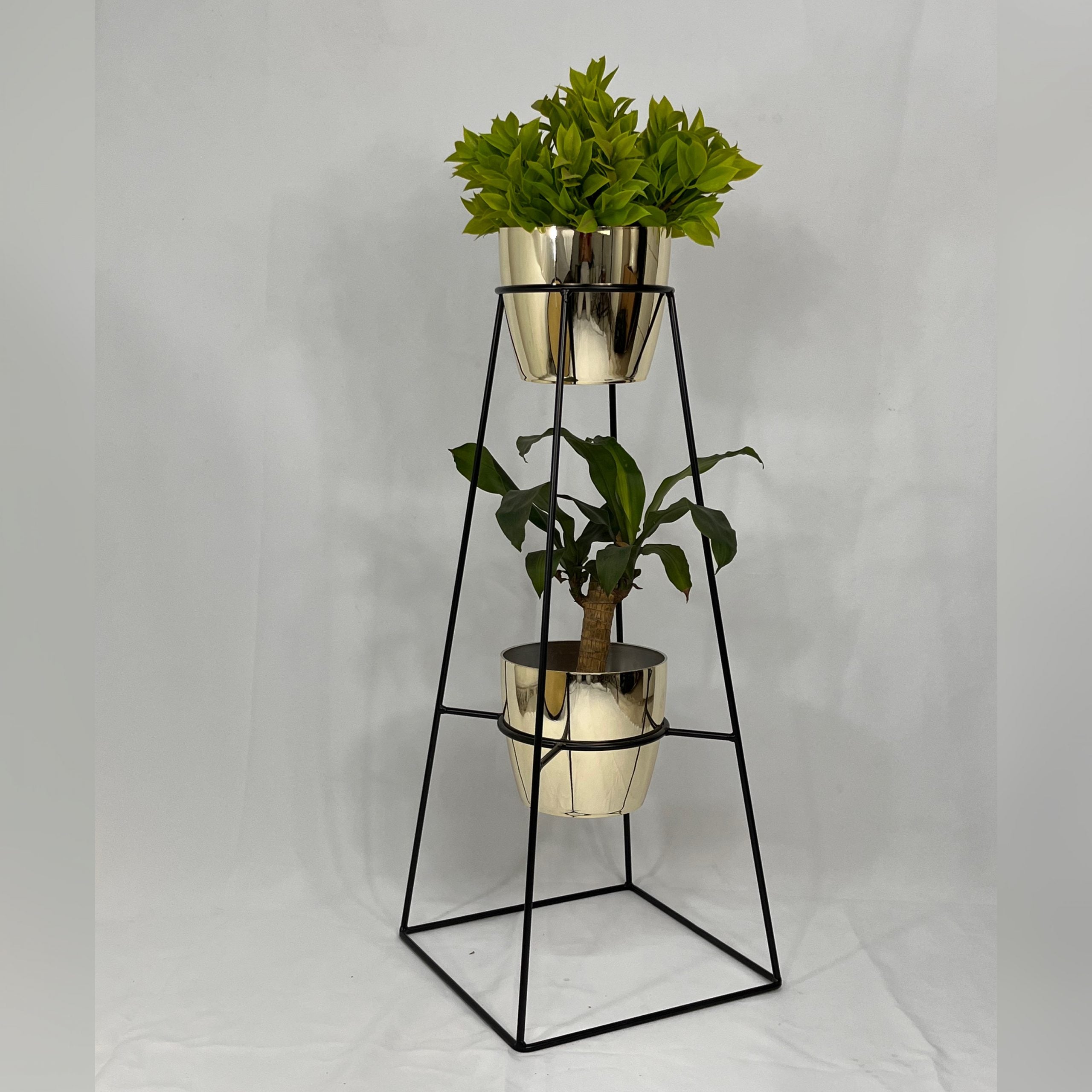 Calcedonia con Materos plasticos