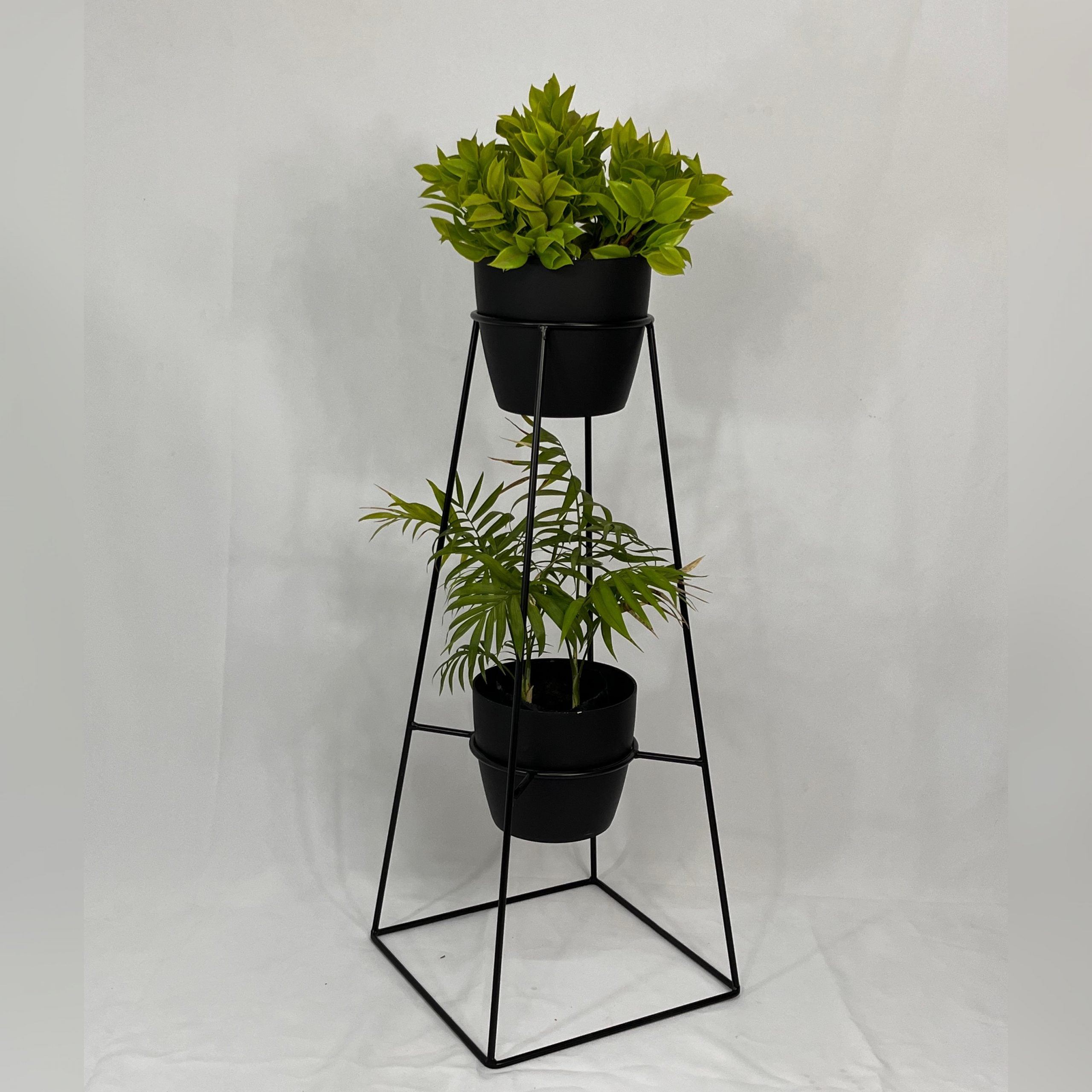 Calcedonia con Materos plasticos