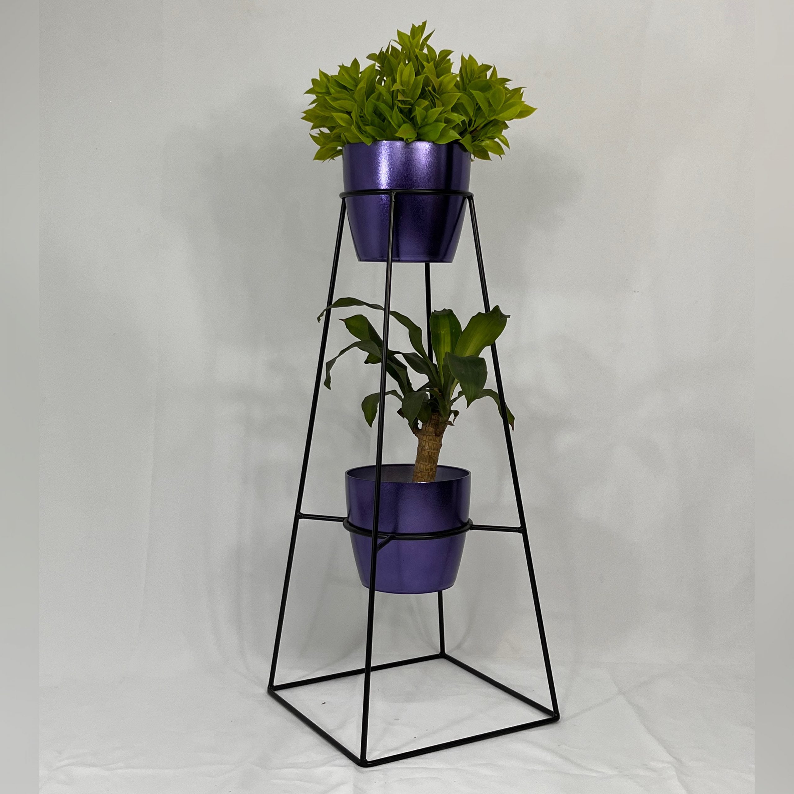 Calcedonia con Materos plasticos