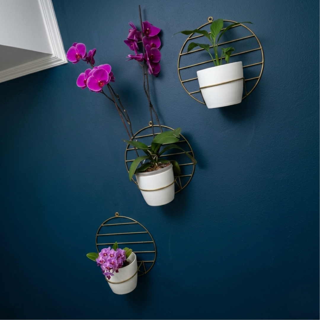 Trio de Pared Aguamarina con 3 Materos Plasticos