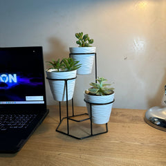 Mini Trío Hexagonal con 3 Materos