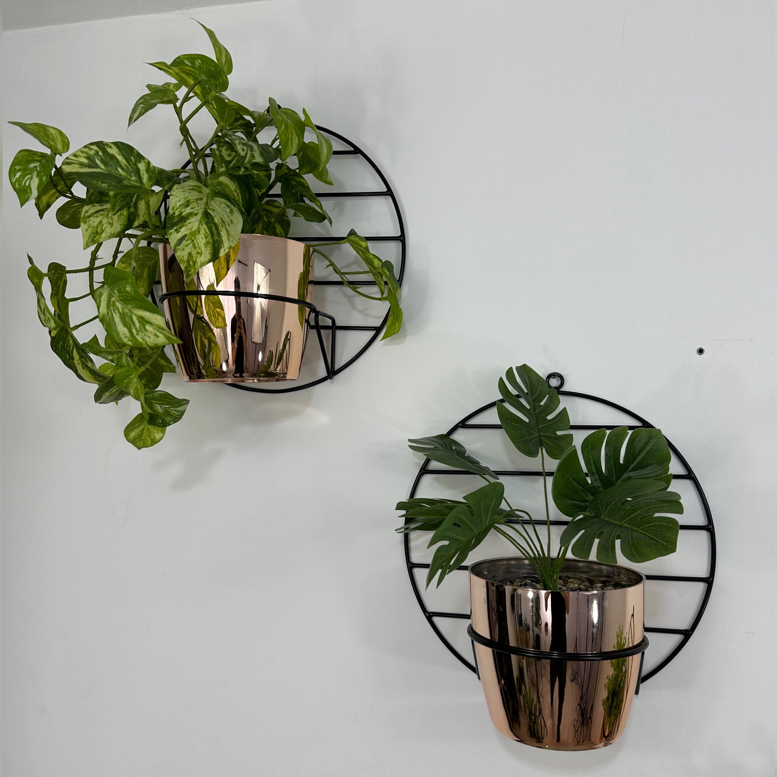 Trio de Pared Aguamarina con 3 Materos Plasticos Metalizados