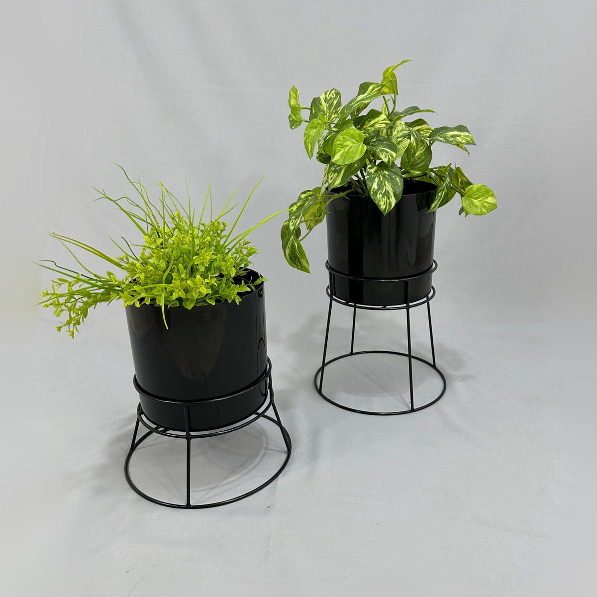 Soportes Ross con Cilindro de Plastico