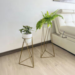 Set Amazonia con materos plasticos