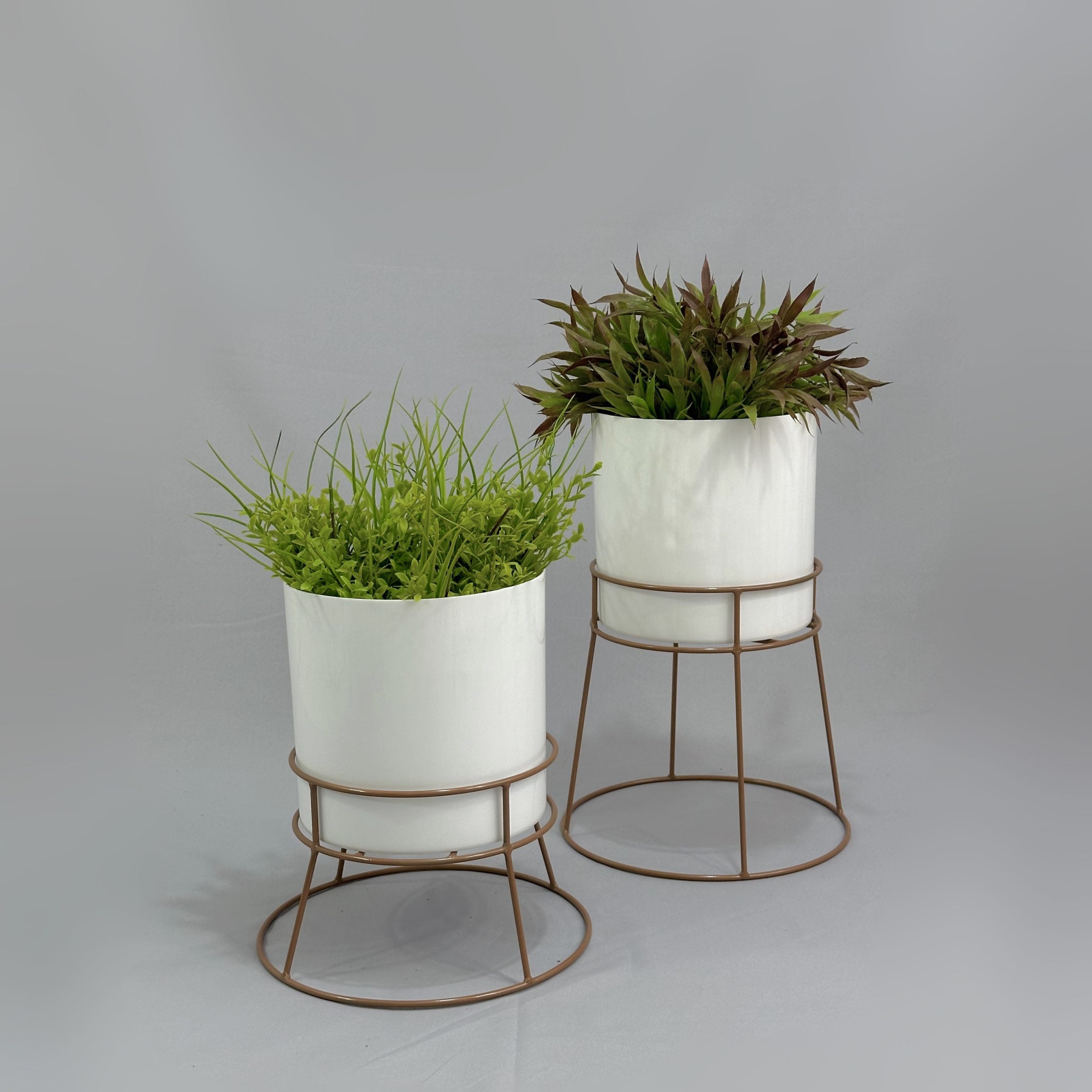 Soportes Ross con Cilindro de Plastico