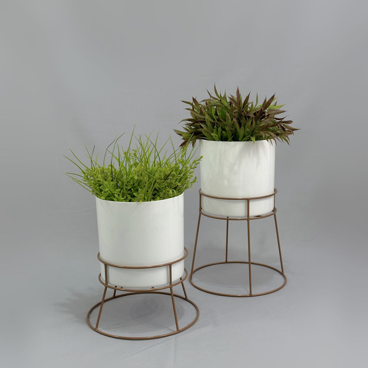 Soportes Ross con Cilindro de Plastico